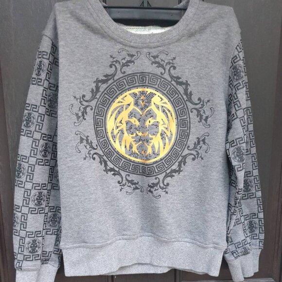 Long Sleeve Casual Lion Graphics Sweatshirt Polyester Top Boys Size 9- 10 years - Picture 1 of 5